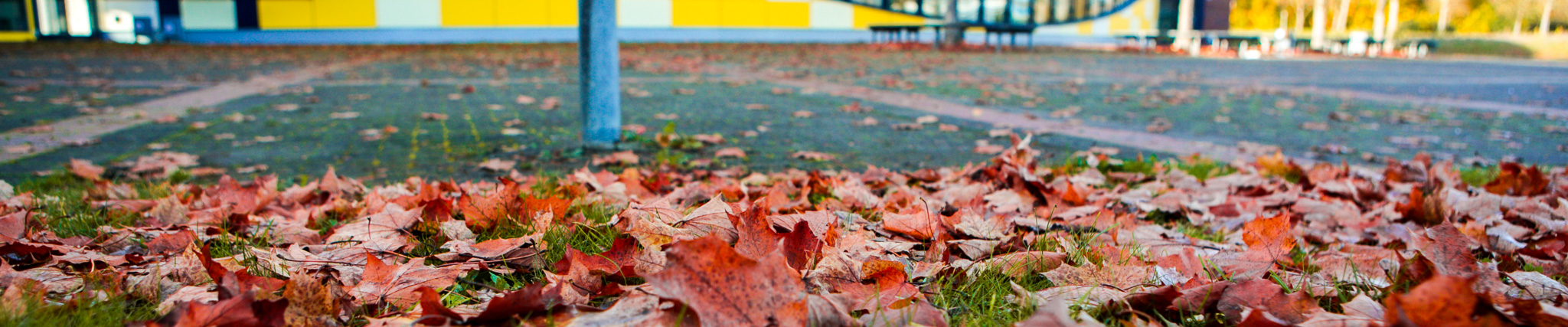 SchulhofA Herbst 2023